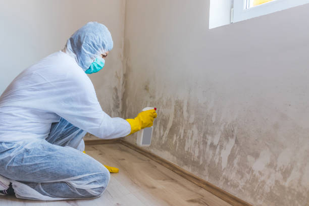 Bathroom Mold Removal assessment in Burgess bathroom